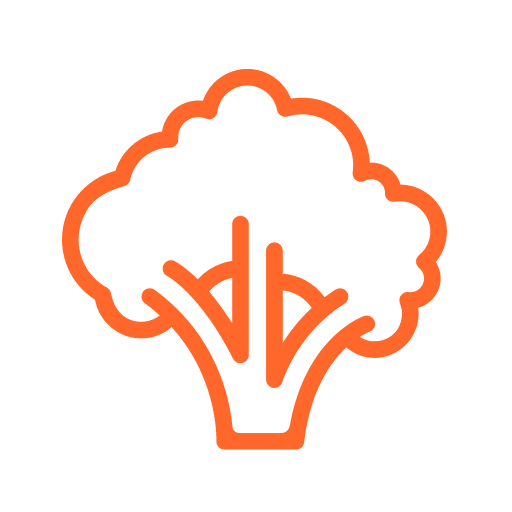 อาหารคลีน/สลัด